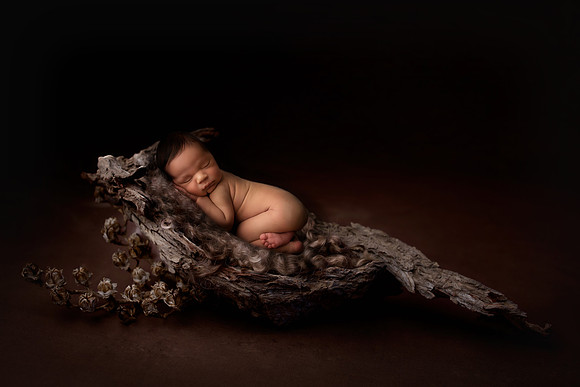 Kelly Saxon Photography | Nashville & Murfreesboro Tennessee Newborn and Maternity Photographer