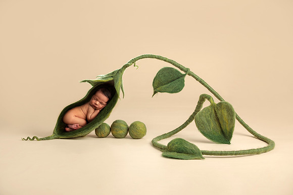 Kelly Saxon Photography | Nashville & Murfreesboro Tennessee Newborn and Maternity Photographer
